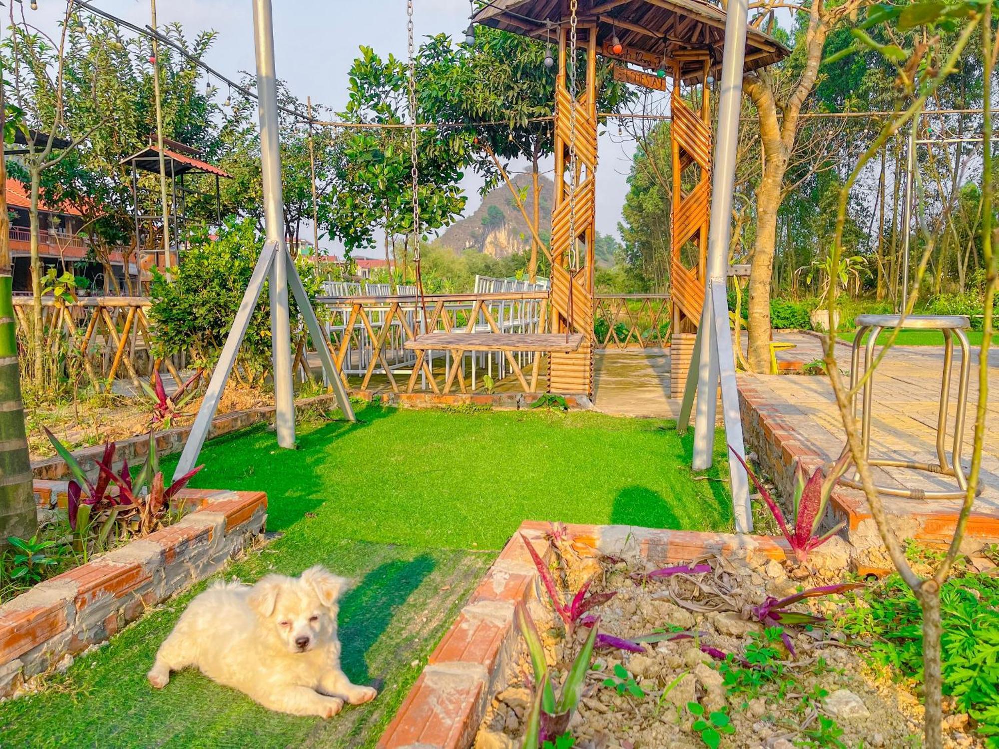 Trang An Quynh Trang Happy Homestay & Garden Ninh Binh Bagian luar foto