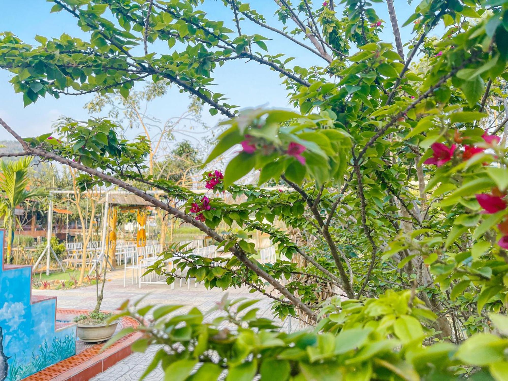 Trang An Quynh Trang Happy Homestay & Garden Ninh Binh Bagian luar foto