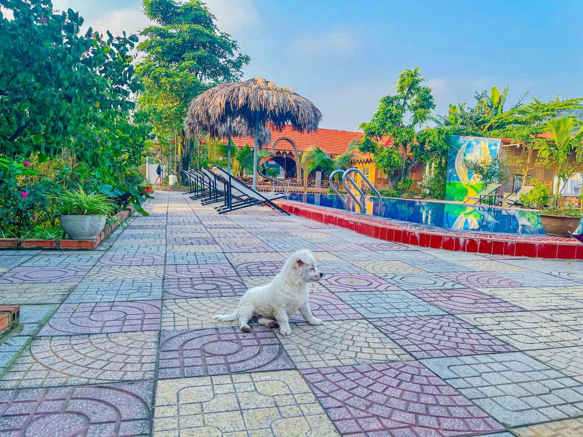 Trang An Quynh Trang Happy Homestay & Garden Ninh Binh Bagian luar foto